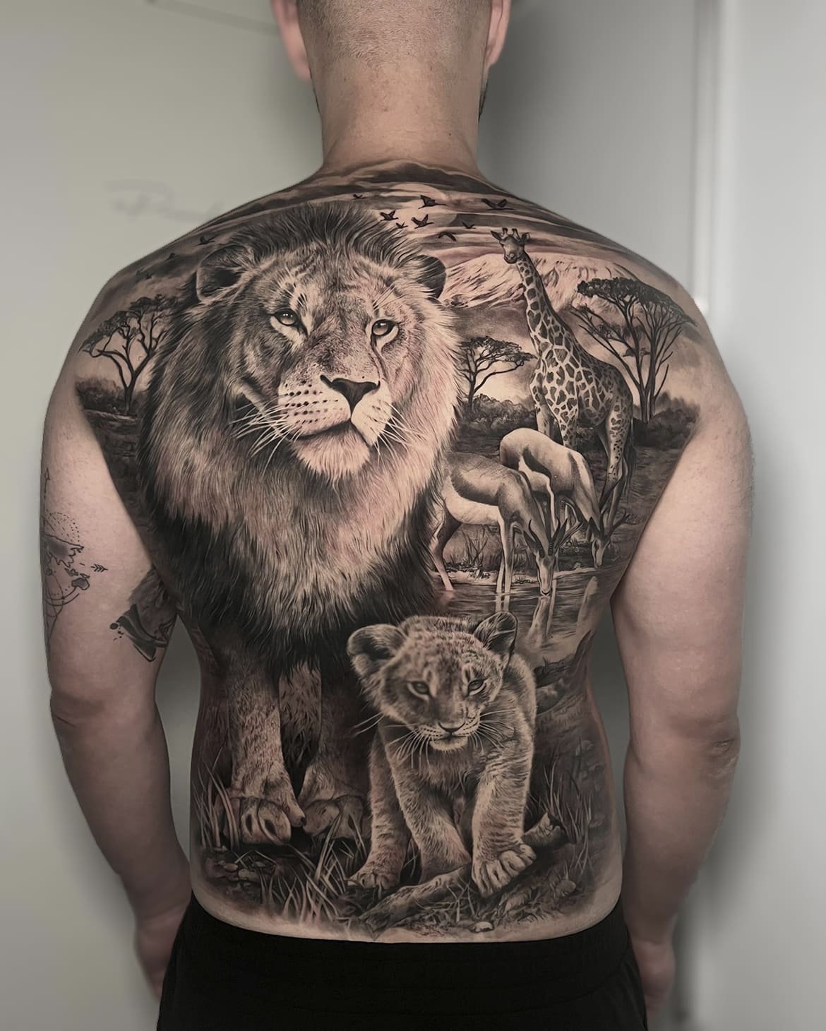 Gran tatuaje cubriendo toda la espalda de un hombre con un leon y diversos animales de la jungla